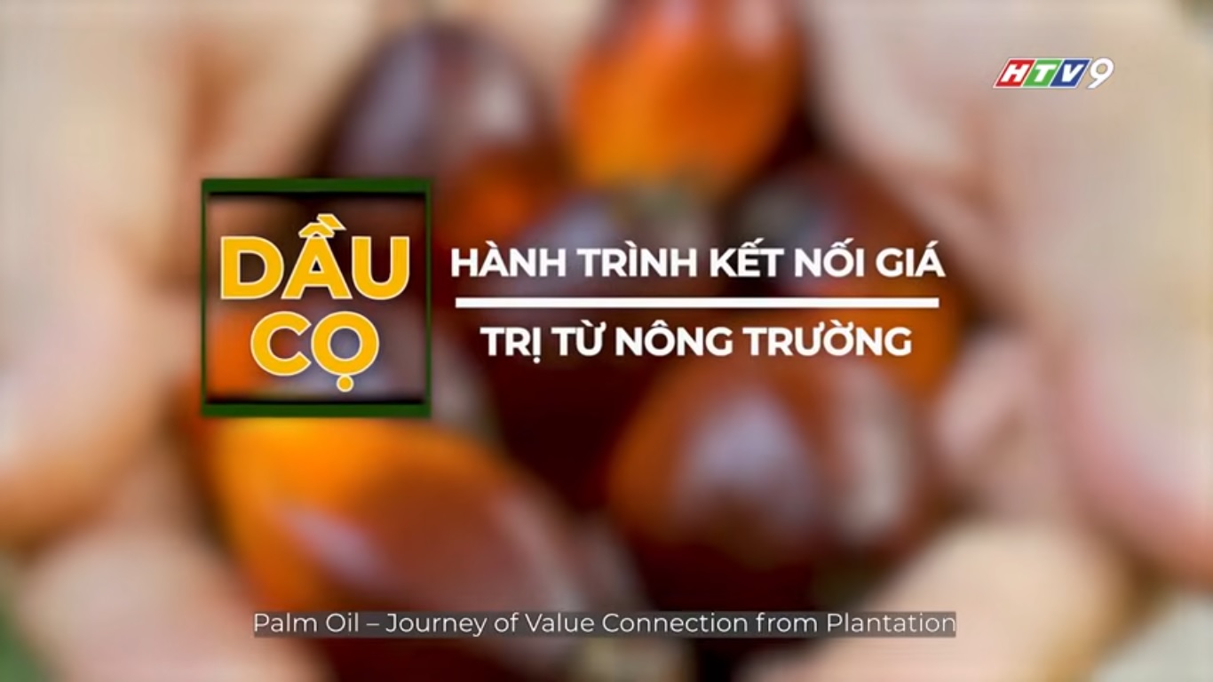 Palm Oil - Journey of Value Connection from Plantation